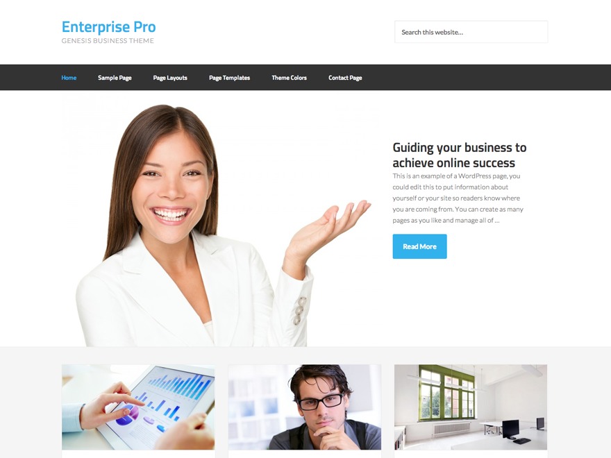 WordPress theme TPS Theme by Alpine
