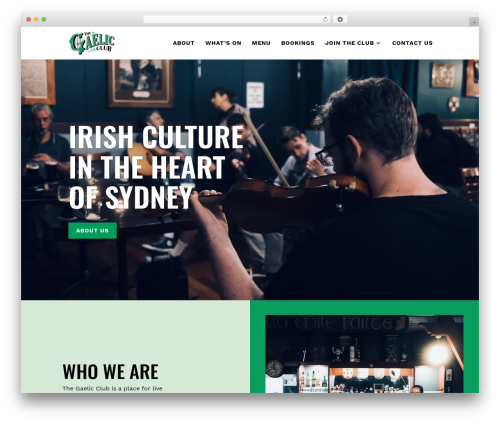 Clean Theme theme WordPress - gaelicclub.com.au