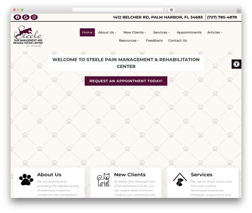 Parent Theme WordPress theme - steelepaincenter.com