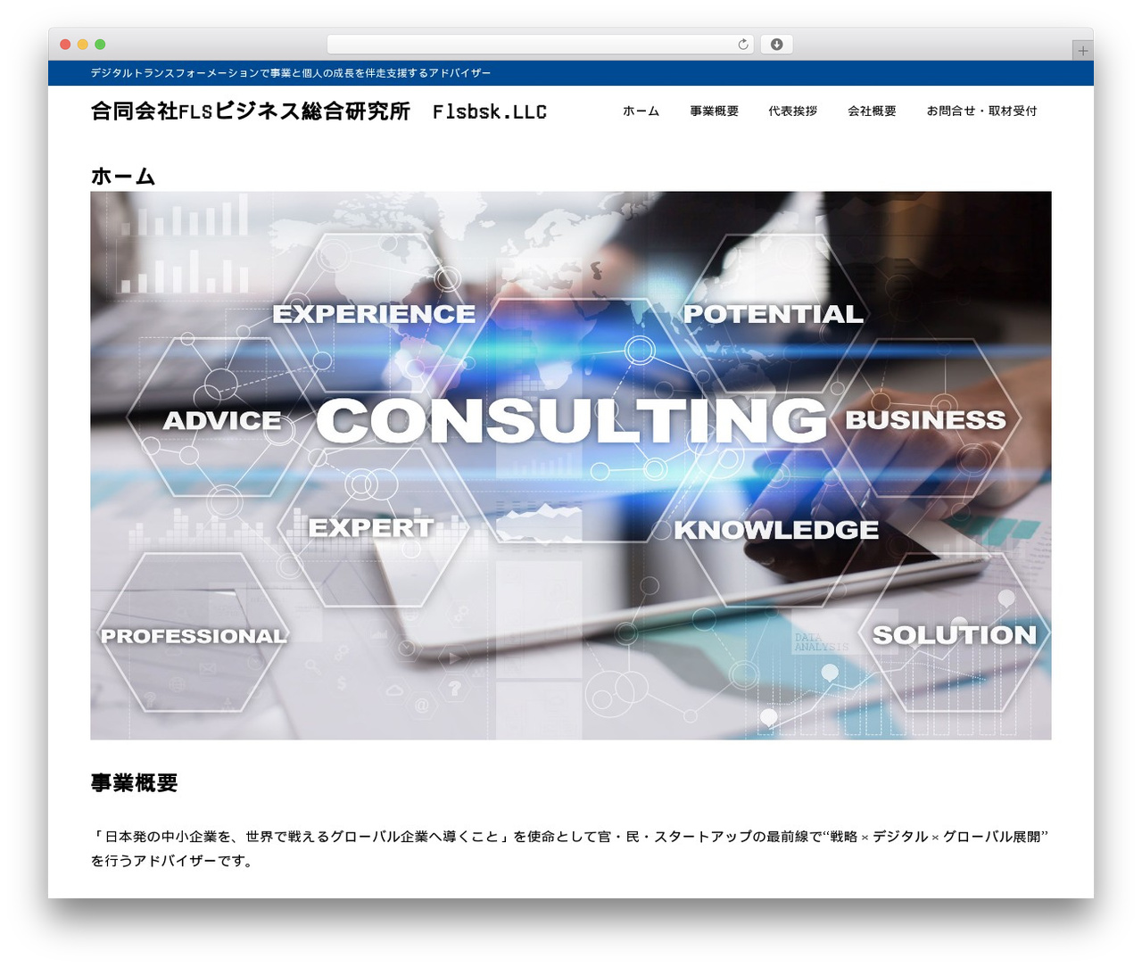 SYN Ownd WordPress page theme - flsbsk.com