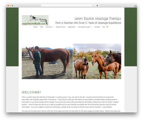 Say what pro WordPress plugin - equinerehab.ca