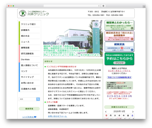WordPress theme 2019 - kawai-clinic.com