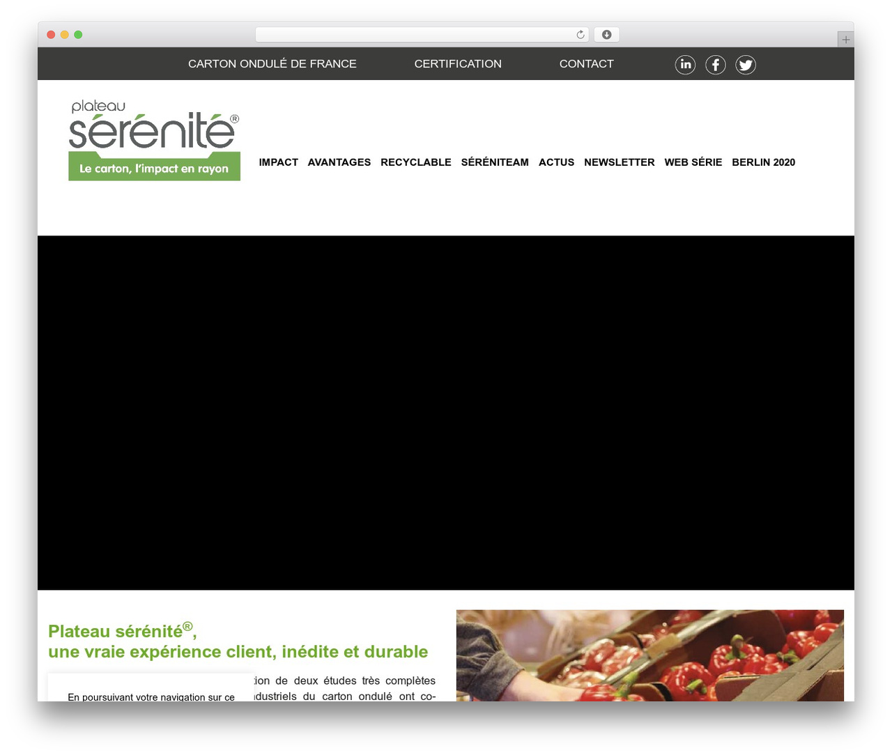 WordPress theme cof - plateauserenite.com WordPress theme cof - plateauserenite.com