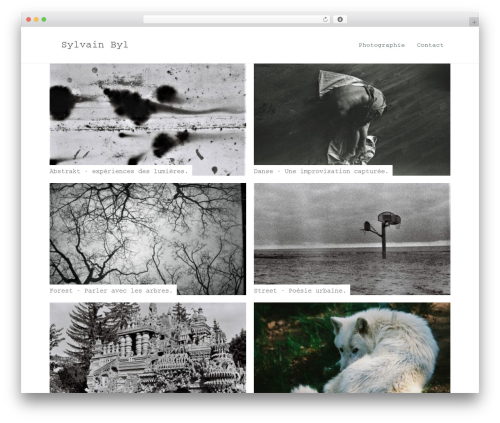 Wpbits addons for elementor pro WordPress plugin - sylvainbyl.com