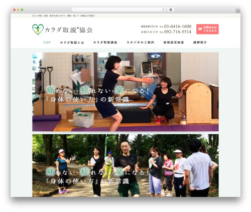 テンプレート01_07 WordPress theme - karada-torisetu.com