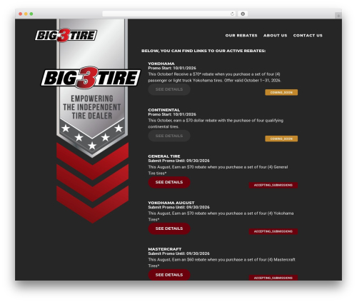 Divi WordPress theme - big3tirerebates.com