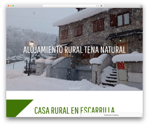Theme WordPress Constructor - tenanatural.com
