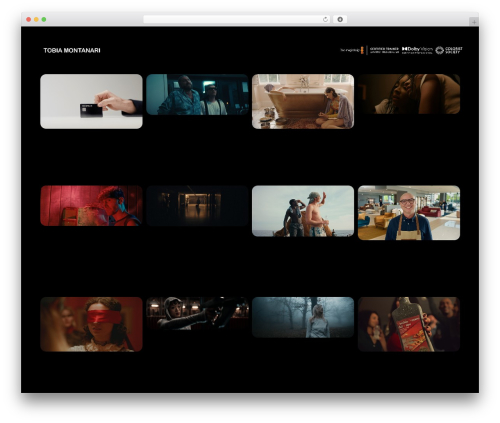 Altcha WordPress plugin - tobiamontanari.com