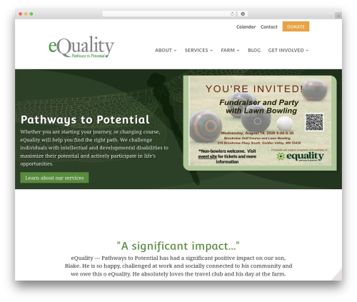 Divi custom type blog grid WordPress plugin - equalityonline.org