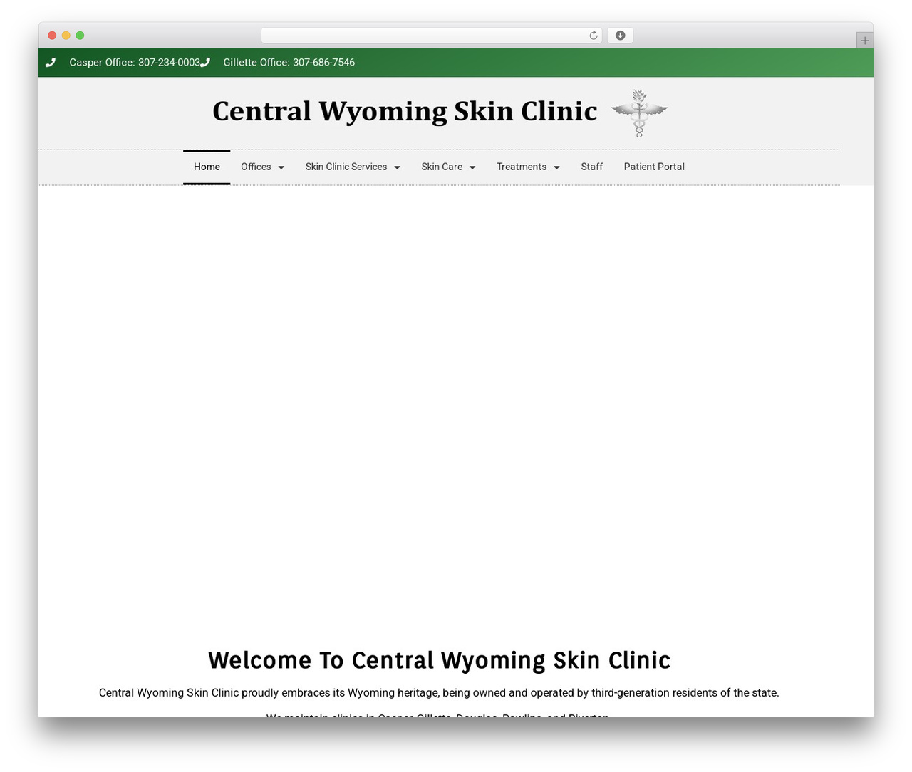Hello Elementor free WordPress theme - wyoskindoc.com