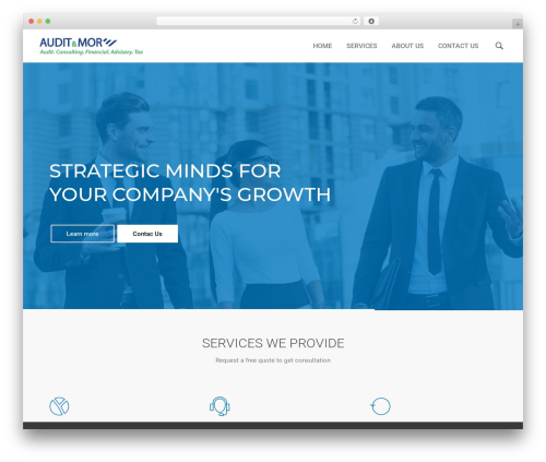 Cuber WordPress theme - auditandmore.com