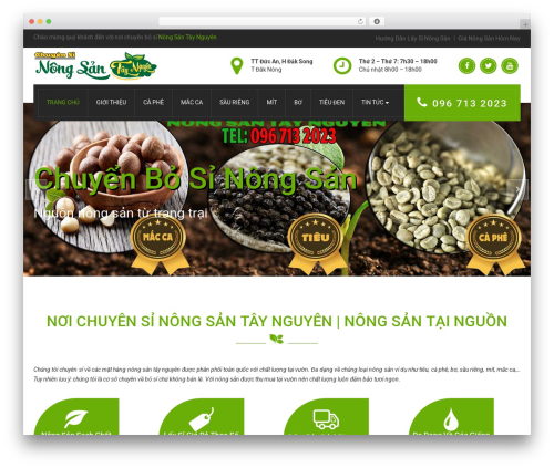 Theme WordPress ItcClassic - nongsantaynguyen.net