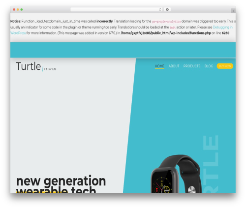 WordPress theme Turtle Custom Theme - turtlefit.com