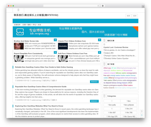 WordPress theme Ality - zhangbinying.com