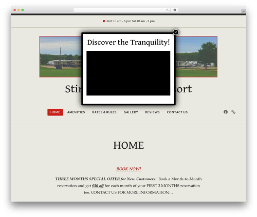 WordPress theme Radcliffe 2 - stinsonrvpark.com