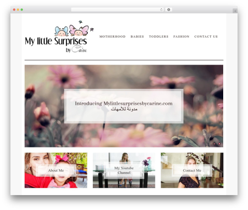daisy WordPress theme - mylittlesurprisesbycarine.com