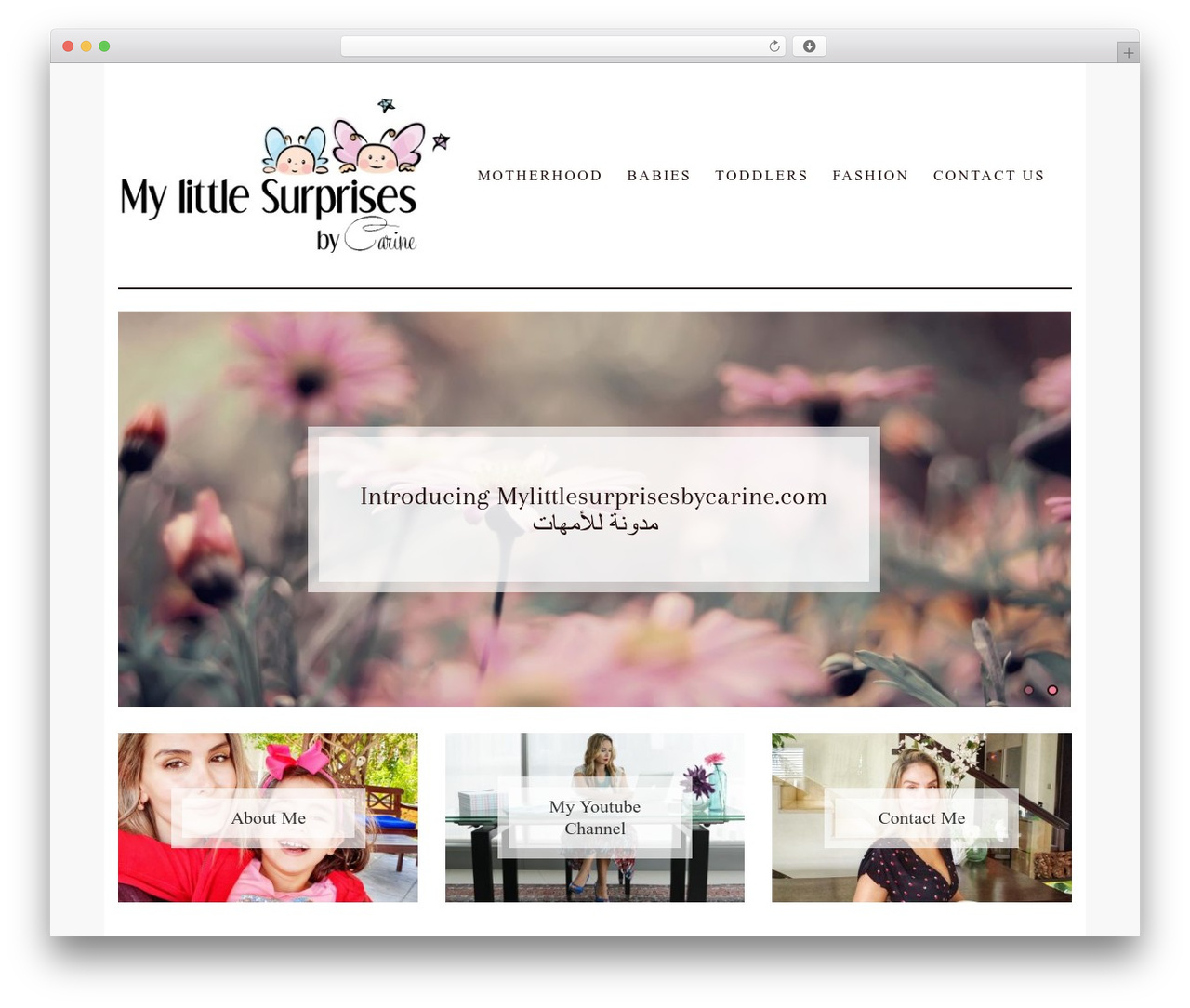 daisy WordPress theme - mylittlesurprisesbycarine.com