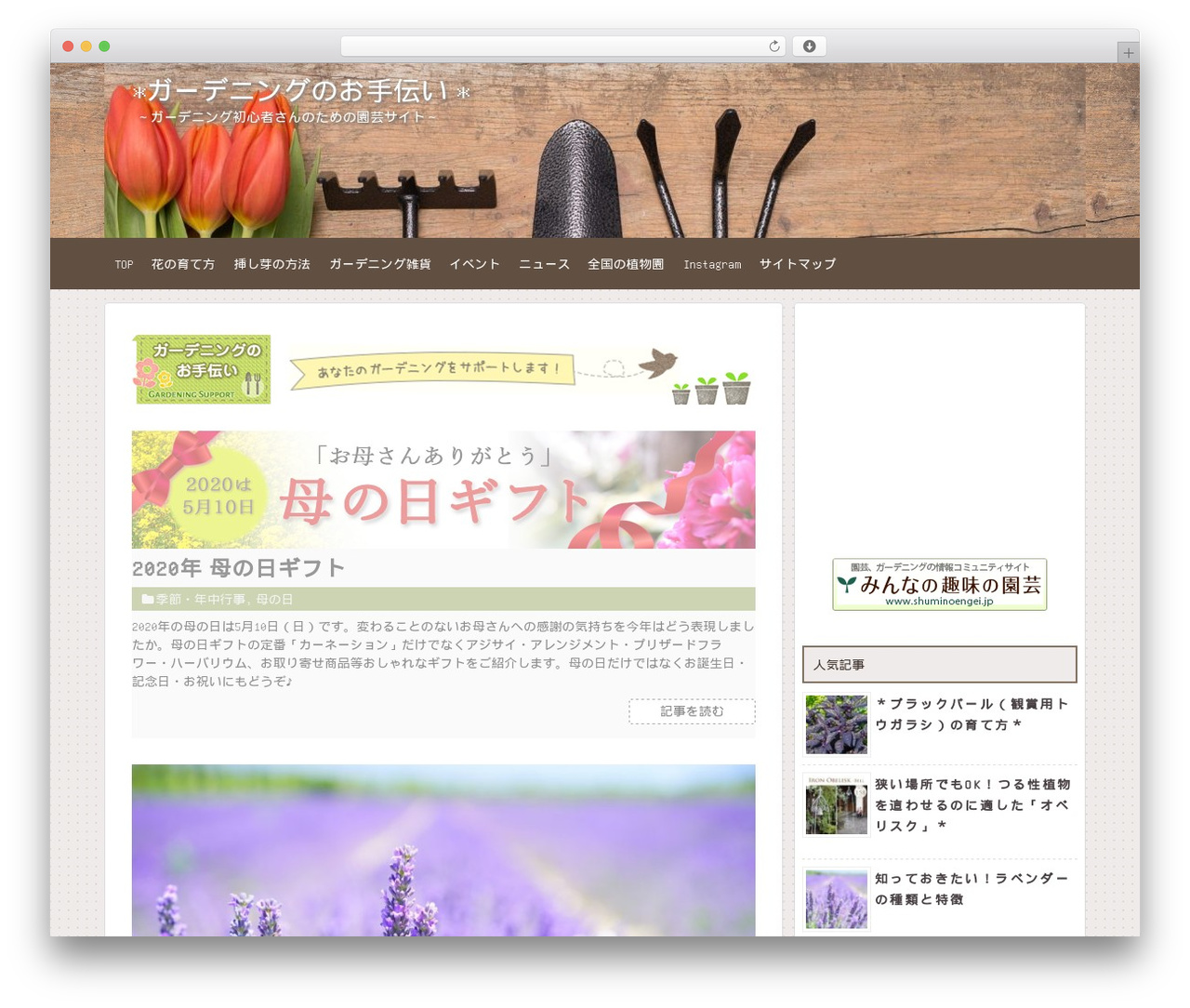 Theme WordPress Simplicity2 - gardening-support.com