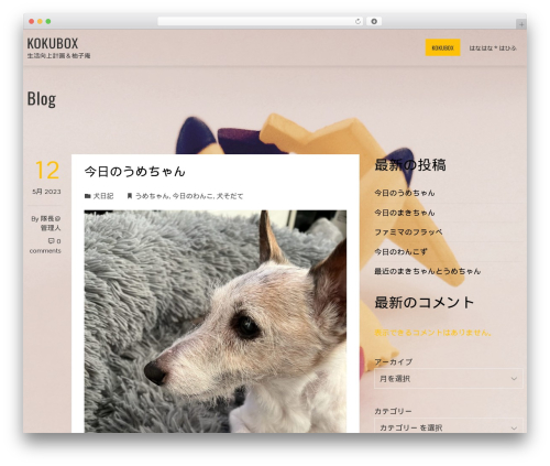 Total Plus WordPress website theme - 9056.net Total Plus WordPress website theme - 9056.net