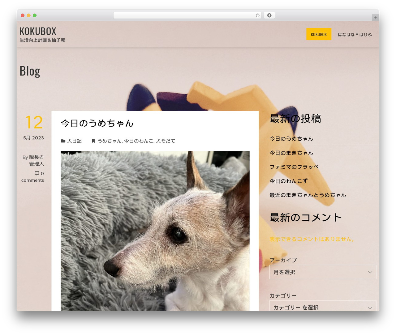 Total Plus WordPress website theme - 9056.net Total Plus WordPress website theme - 9056.net