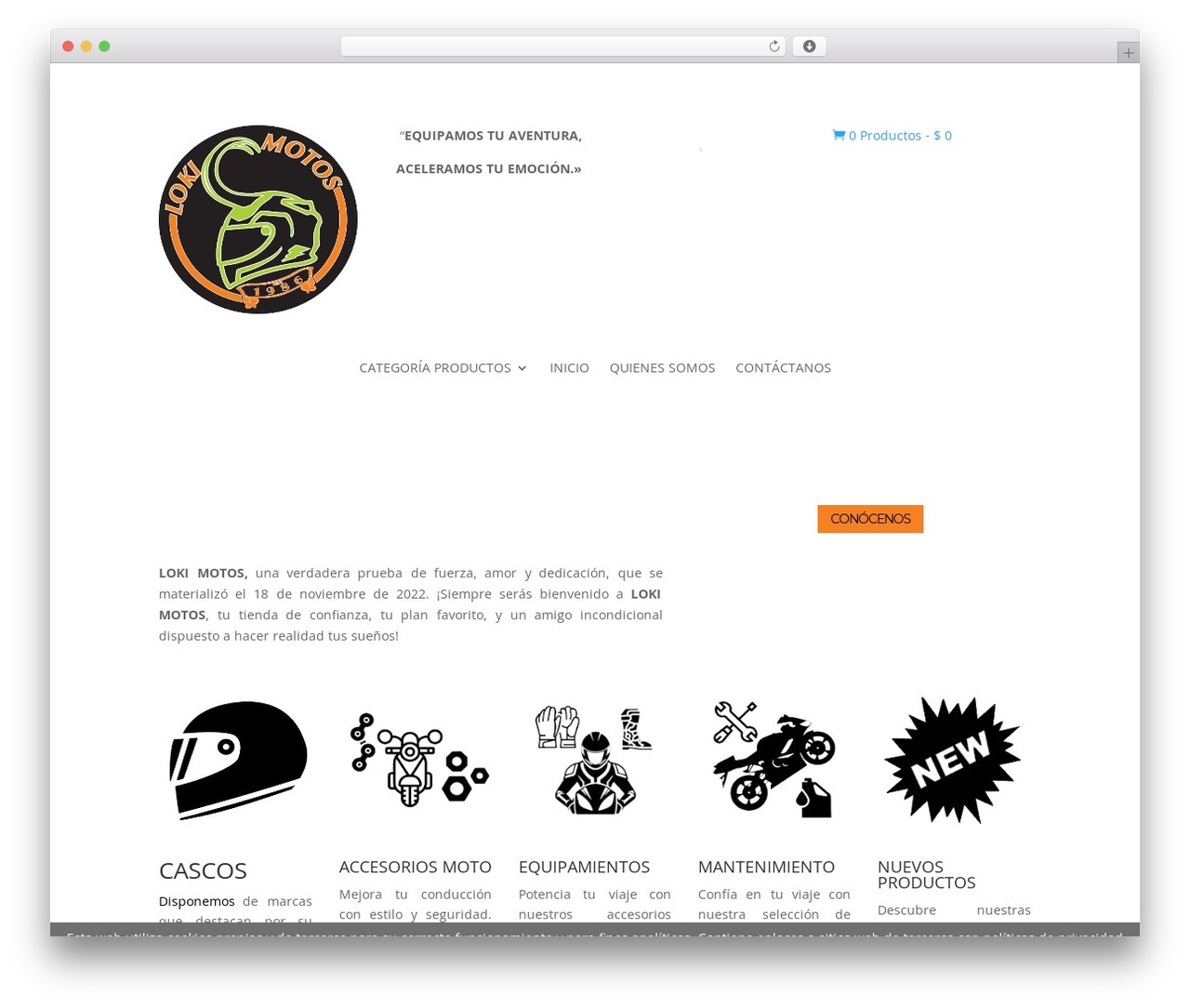 WordPress theme Divi - lokimotos.com