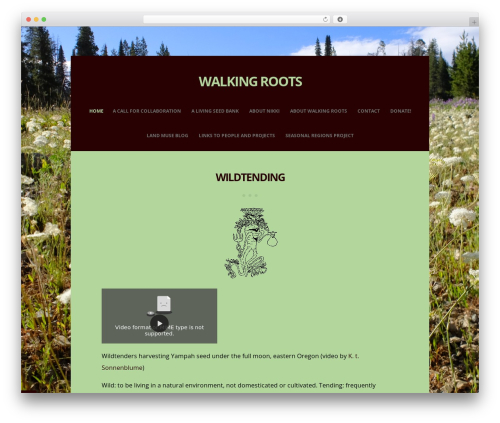 Zenzero WordPress theme - walkingroots.net Zenzero WordPress theme - walkingroots.net