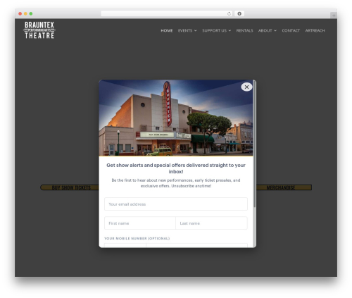 Create WordPress theme - brauntex.org