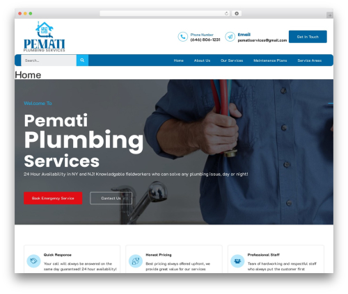 Cryptical WordPress theme - pematiservices.com