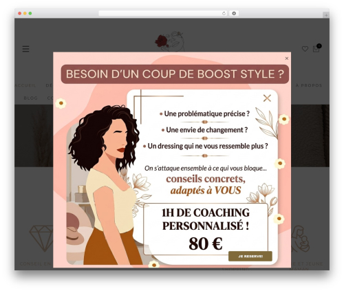 Jas addons WordPress plugin - styleandcoaching.fr