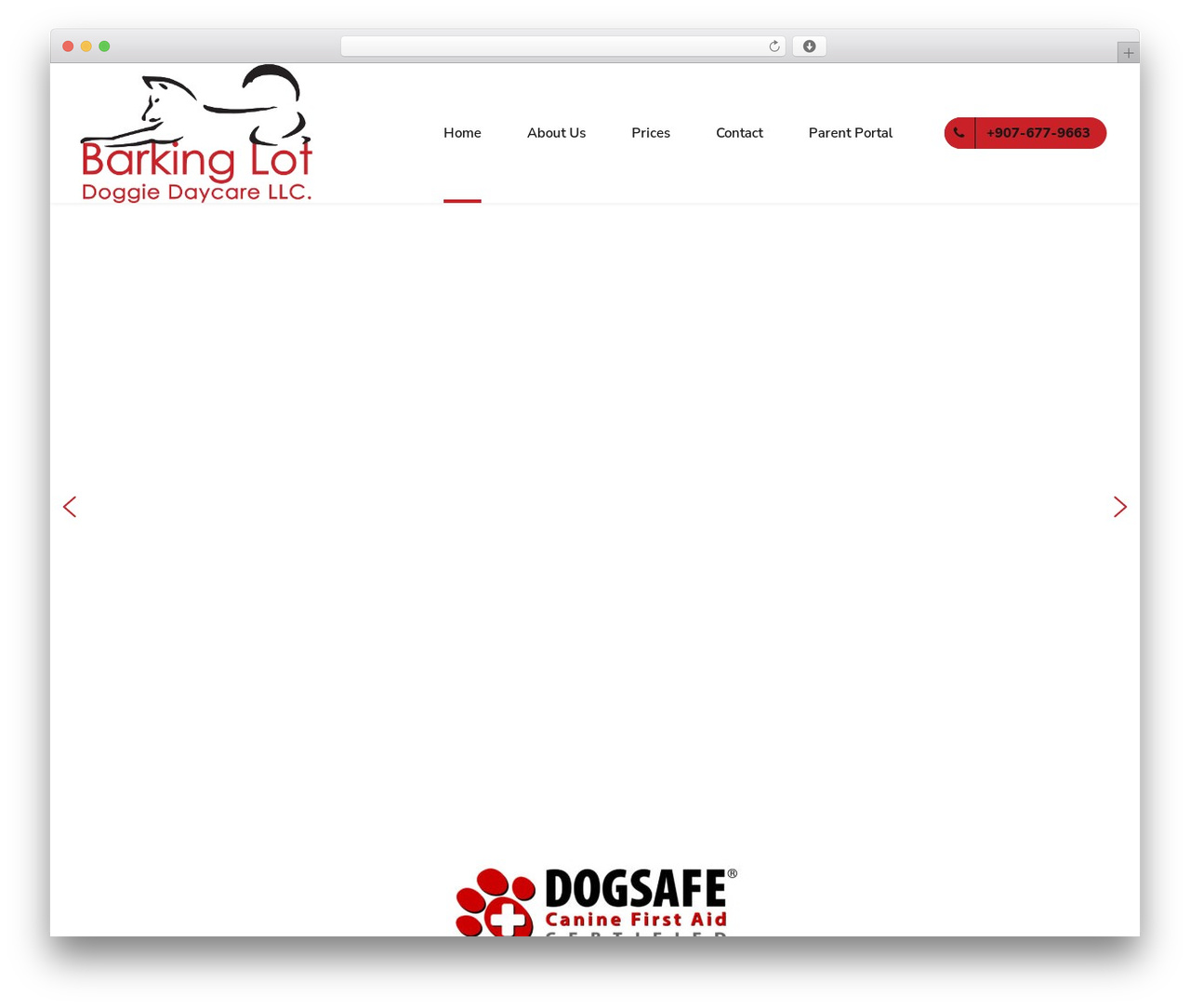 Pawsitive Child WordPress theme - barkinglotdaycare.com