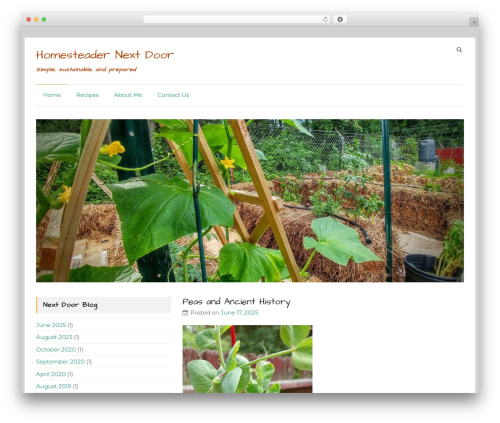 Speedy WordPress theme - homesteadernextdoor.com