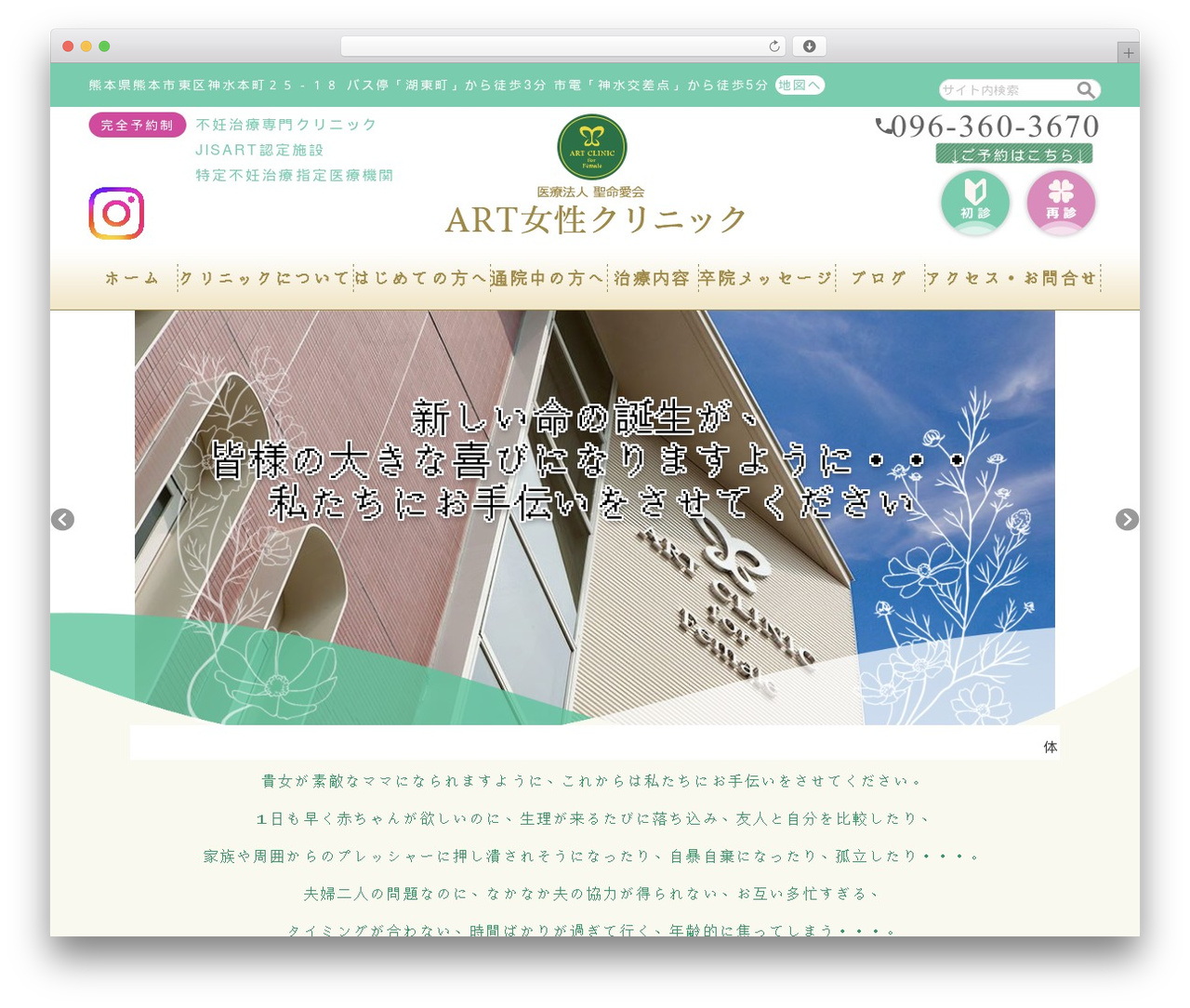 WordPress theme theme - art-kumamoto.com