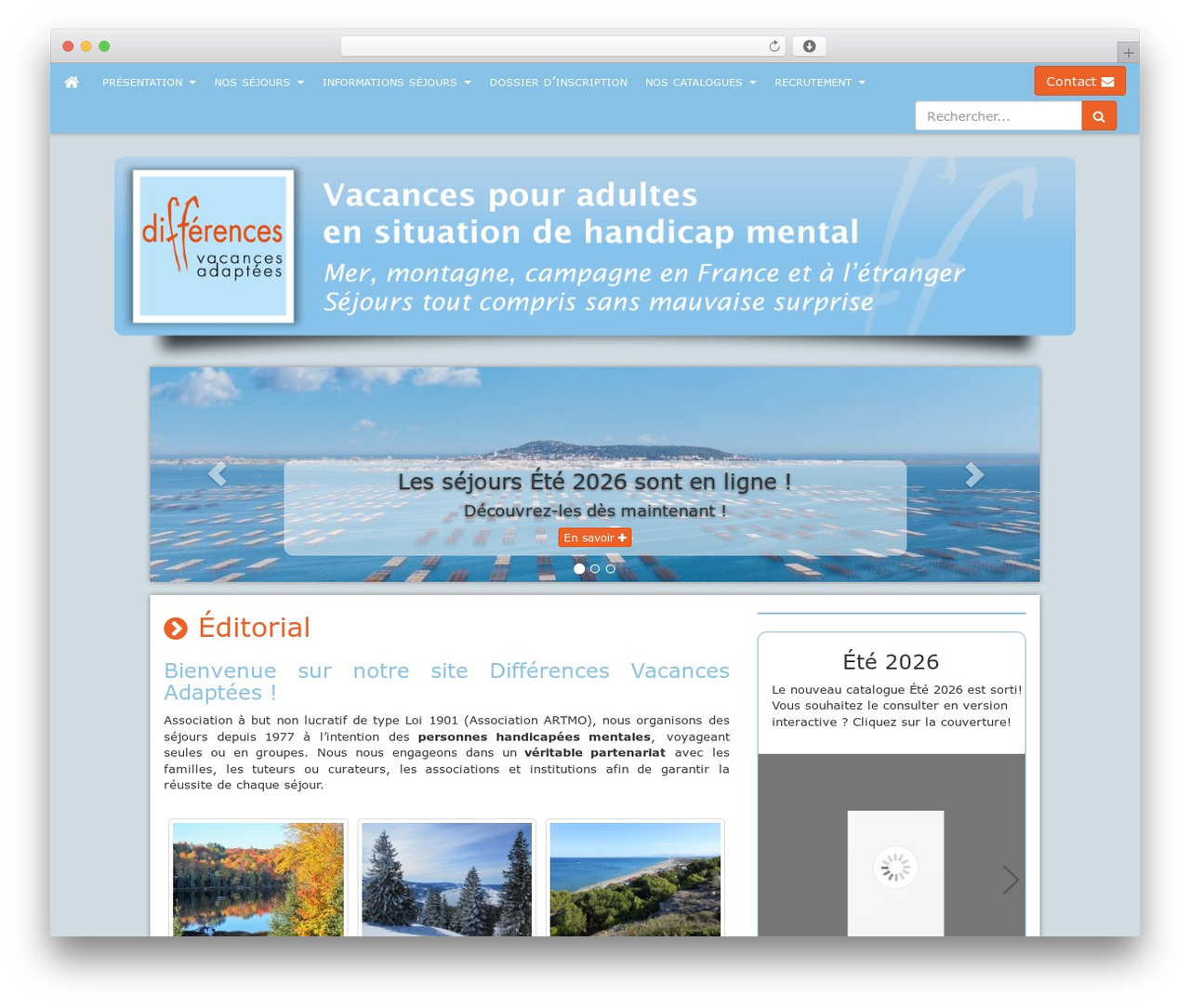 ARTMO WP theme WordPress - www.vacances-adaptees.com