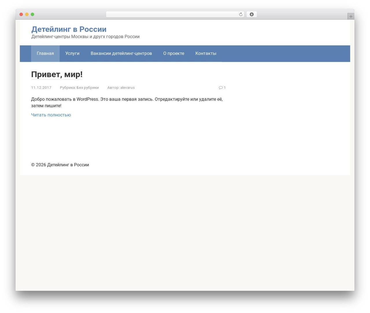 Root WordPress theme design - detailings.ru