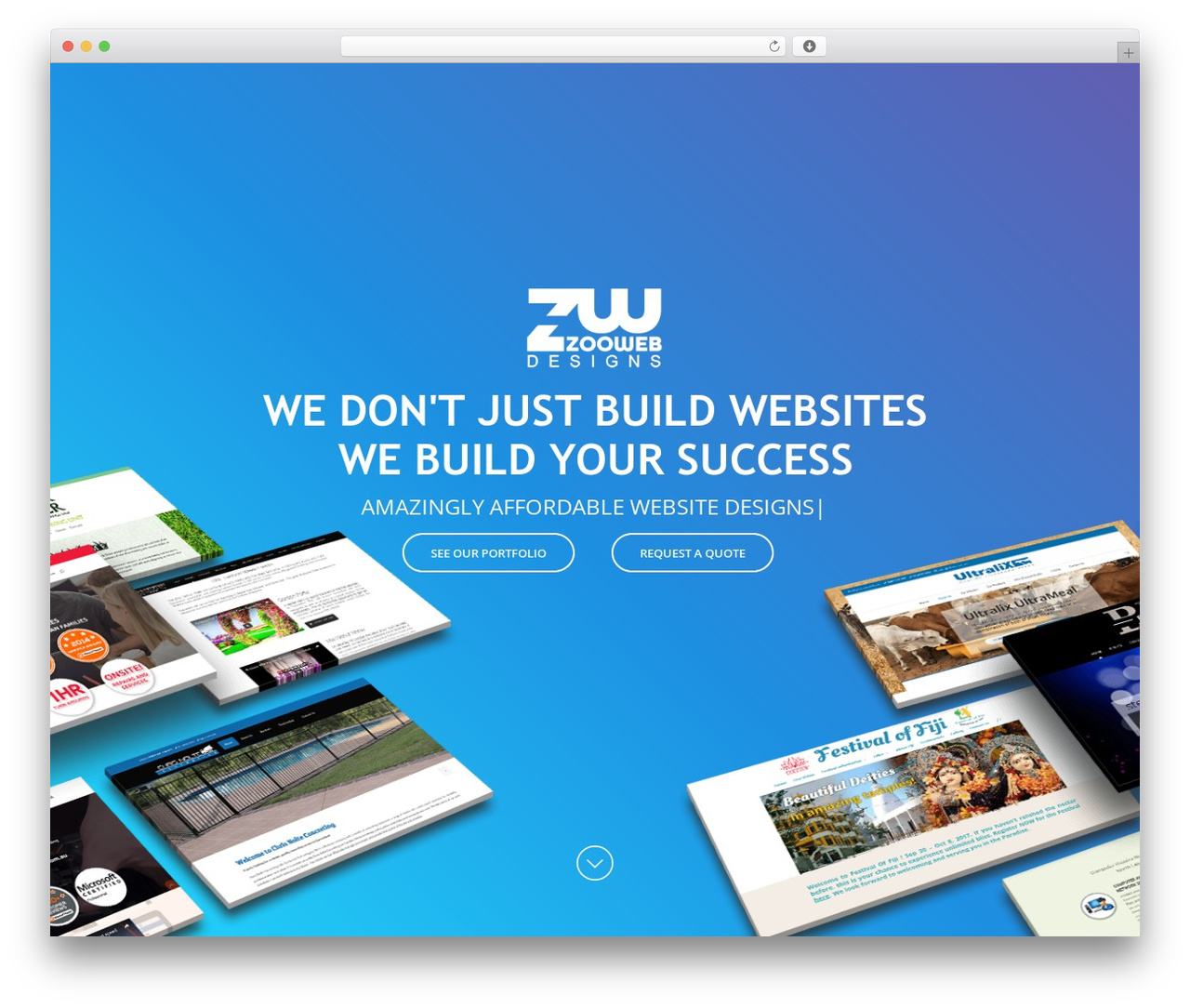 Theme WordPress Divi - www.zoowebdesigns.com.au
