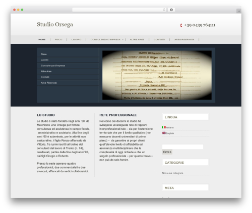 Vertical WordPress theme - studio-orsega.com