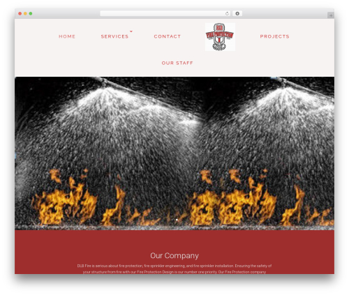 Divi WordPress theme - dlbfire.com