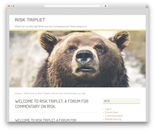Geiseric WordPress theme - risktriplet.com