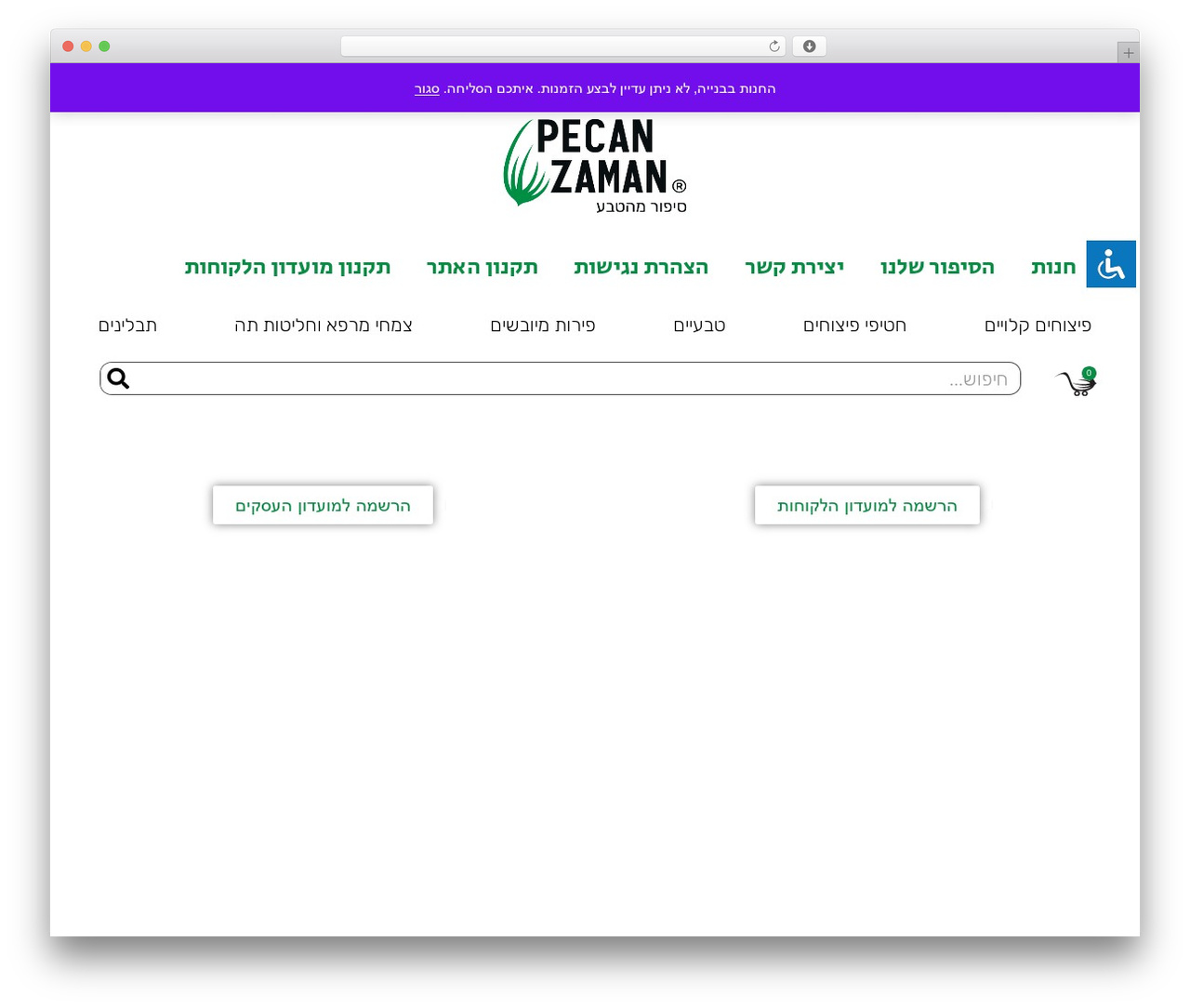 Hello Elementor WordPress theme - pecanzaman.com