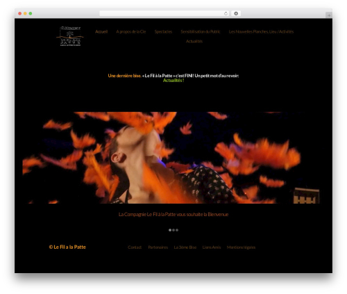 Pl section socialinks WordPress plugin - lefilalapatte.com