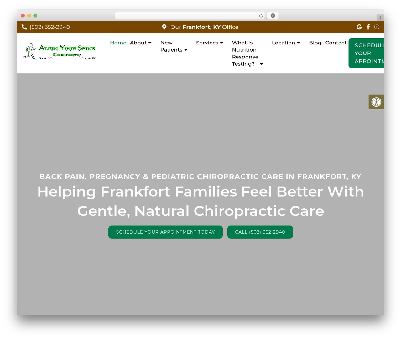 Parent Theme WordPress theme - alignurspine.com
