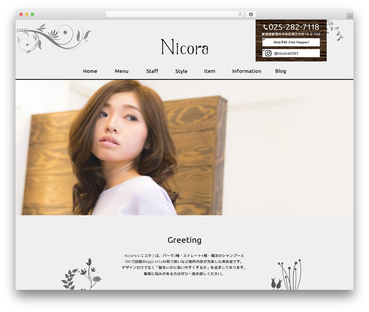 Themify Basic best WordPress theme - nicora2016.com