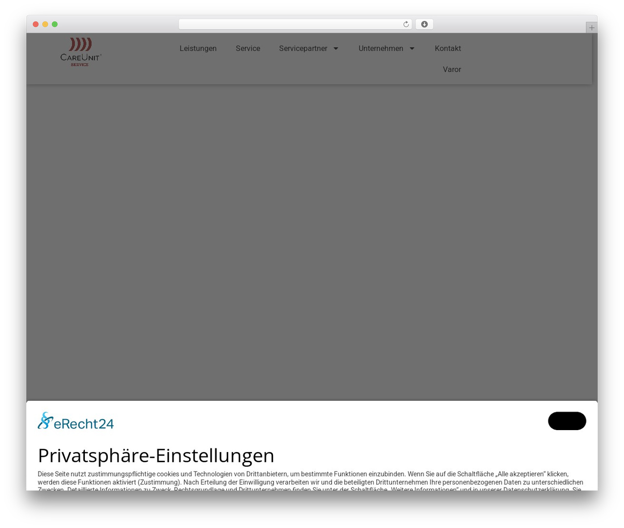 WordPress theme Hello Elementor Child - careunit-service.de