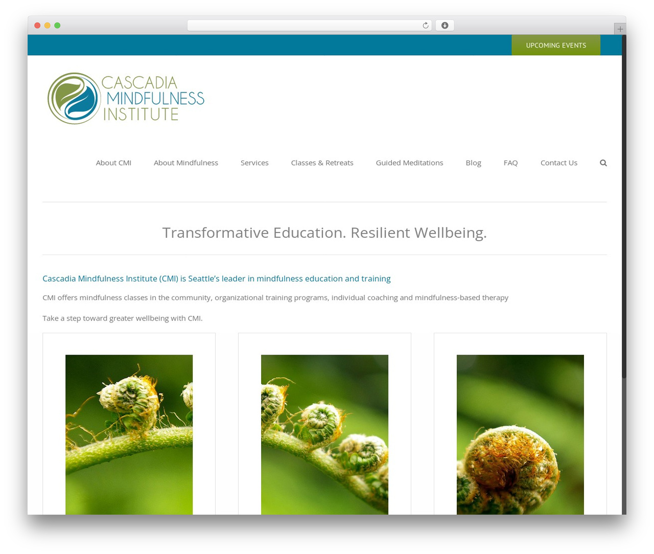 WordPress theme Avada - cascadiamindfulness.com