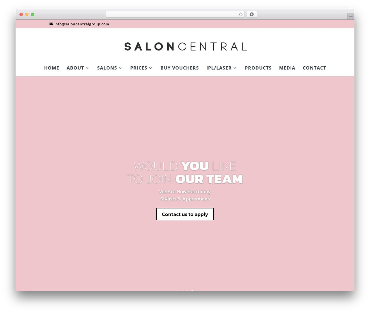 WP theme Divi - saloncentralgroup.com