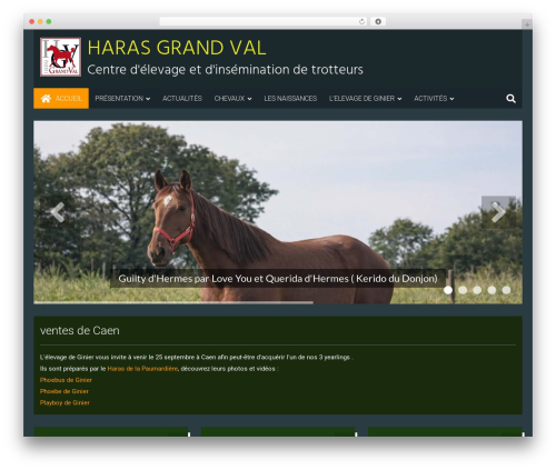 6temflex theme WordPress - harasgrandval.fr