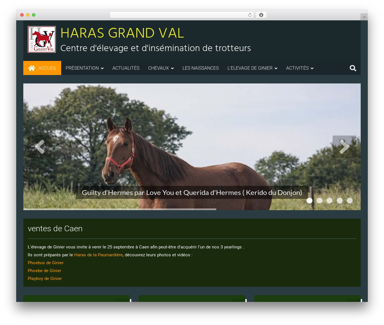 6temflex theme WordPress - harasgrandval.fr 6temflex theme WordPress - harasgrandval.fr