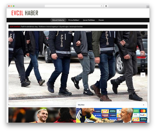 dtheme WordPress website theme - evcilhaber.com