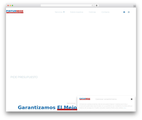 Hello Elementor WordPress theme - pinturneox.com