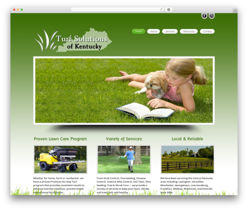 Themia Pro Responsive Theme WordPress theme - turfsolutionsky.com